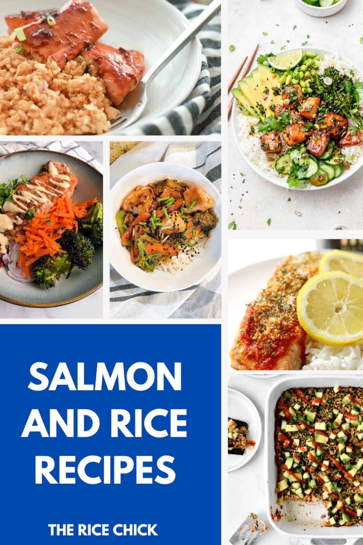 A collection of different images of recipes for salmon and rice.