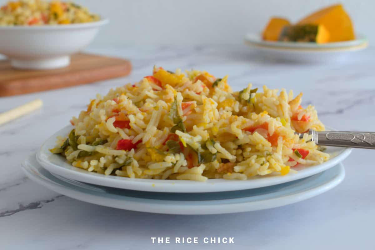 Pumpkin rice on a stack of plates with a spoon.