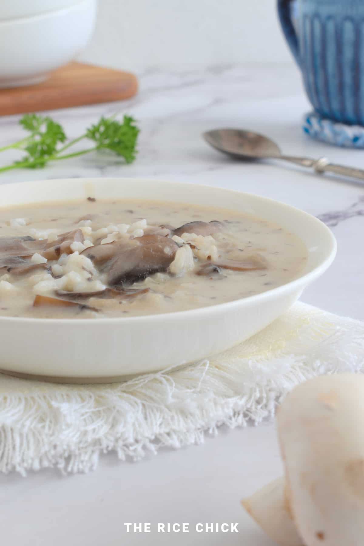 Close up image of mushroom soup in a white bowl.