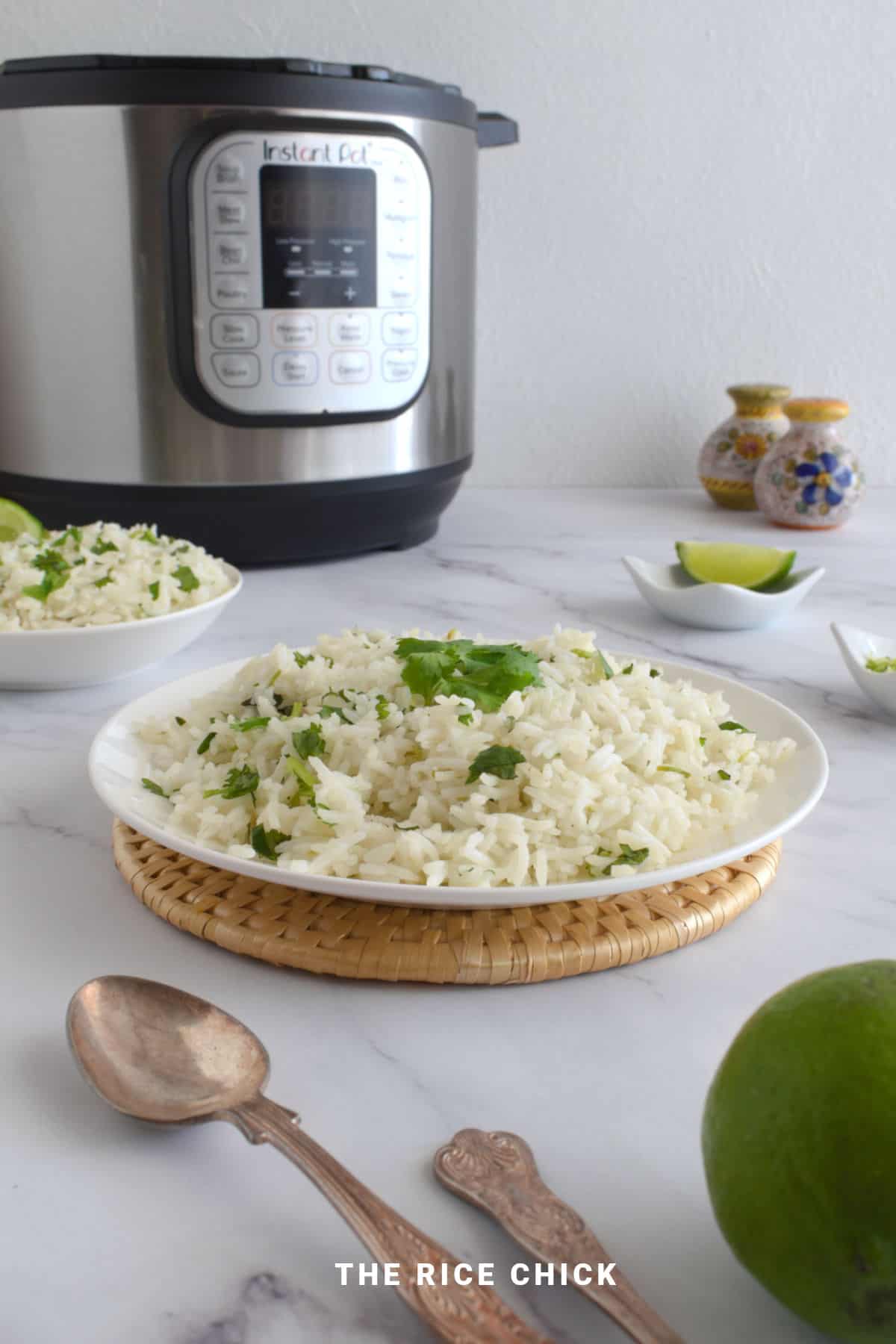 Lime and cilantro rice in a plate.