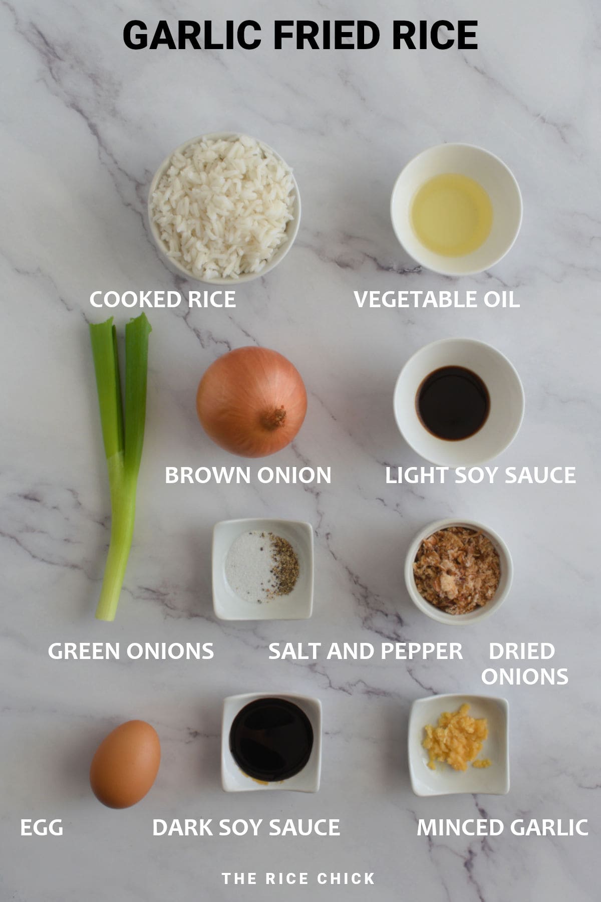 Ingredients garlic fried rice.