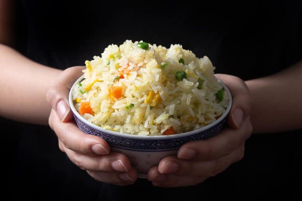 Instant Pot Fried Rice Recipes - The Rice Chick