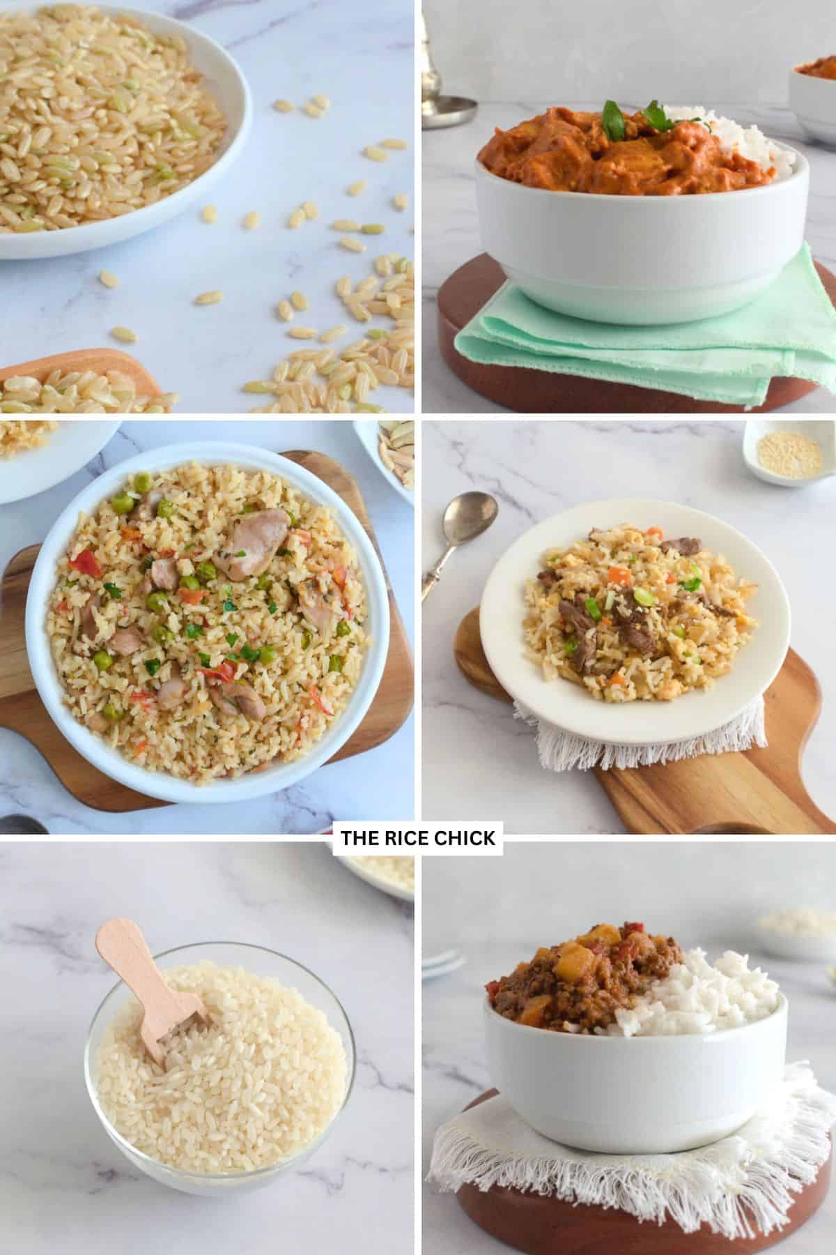 Collection of various rice dishes for meal prep.