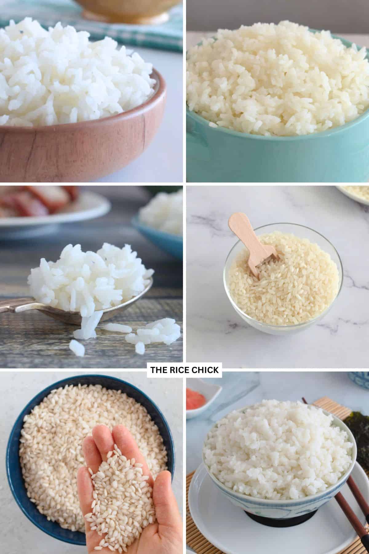 Collection of uncooked and cooked rice images.