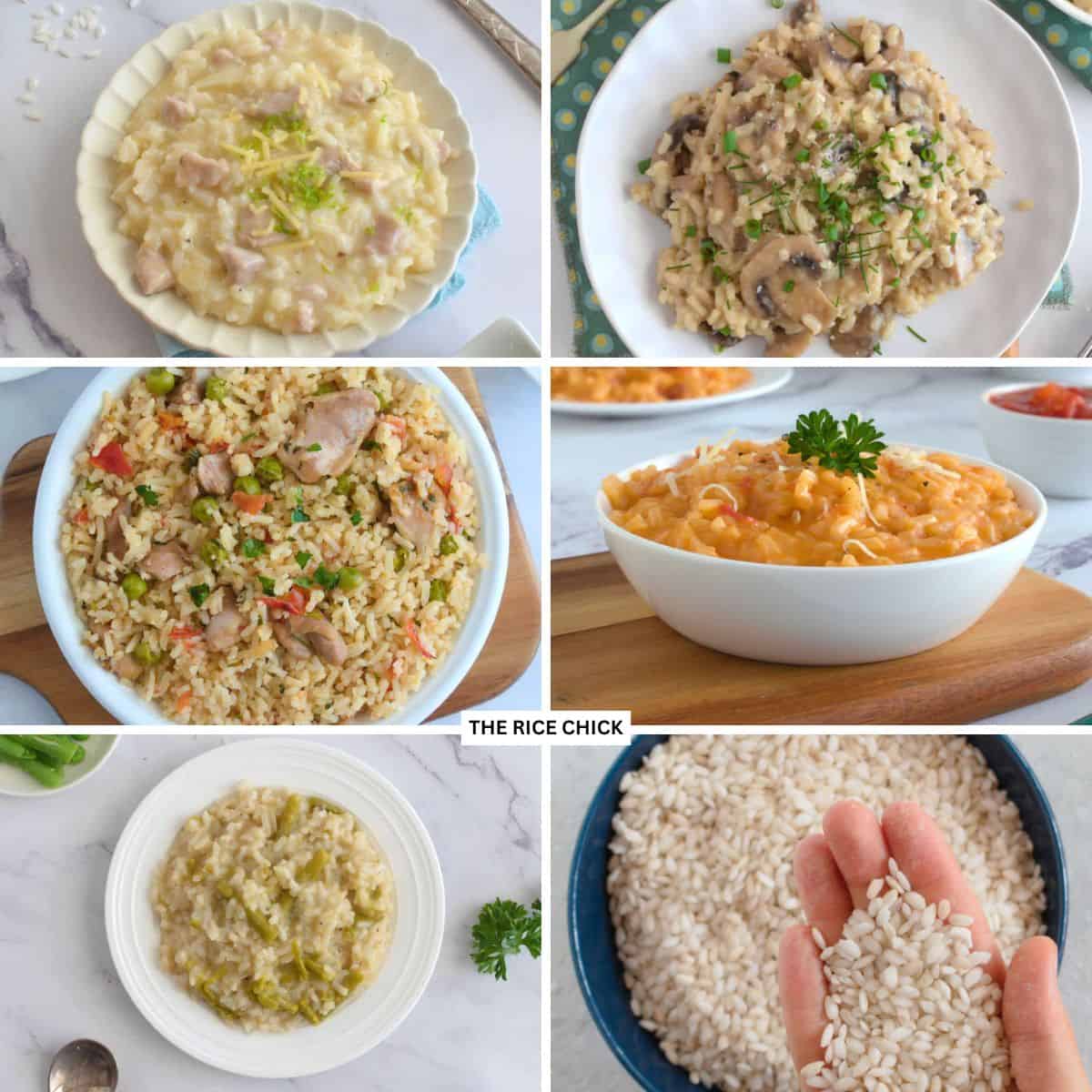 Collage of rice dishes.